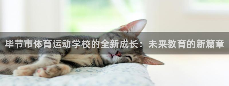 必发官方正版app娱乐平台：毕节市体育运动学校的全新成长：未