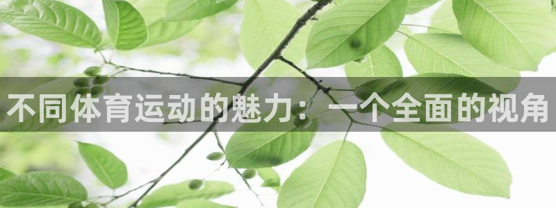 必发官方正版app娱乐首页网站大全：不同体育运动的魅