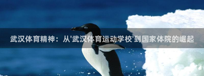 必发官网下载是干嘛的公司：武汉体育精神：从\'武汉体