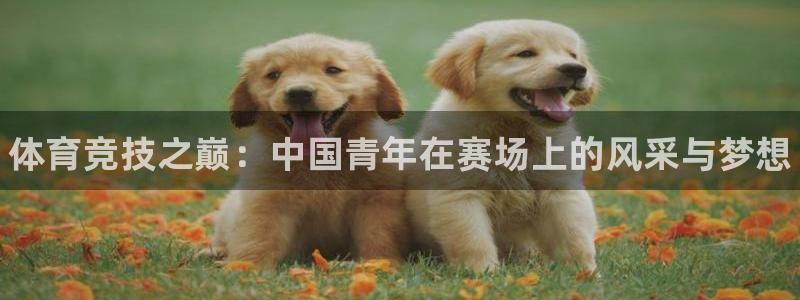 必发官方正版app娱乐平台：体育竞技之巅：中国青年在