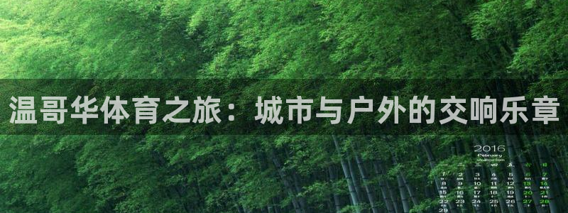 必发官网下载招商电话：温哥华体育之旅：城市与户外的交