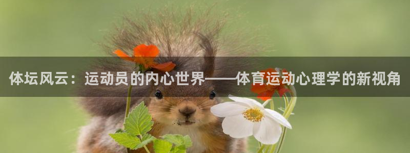 必发官方正版app娱乐平台：体坛风云：运动员的内心世