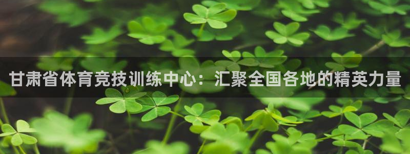 必发官网下载：甘肃省体育竞技训练中心：汇聚全国各地的精英力量