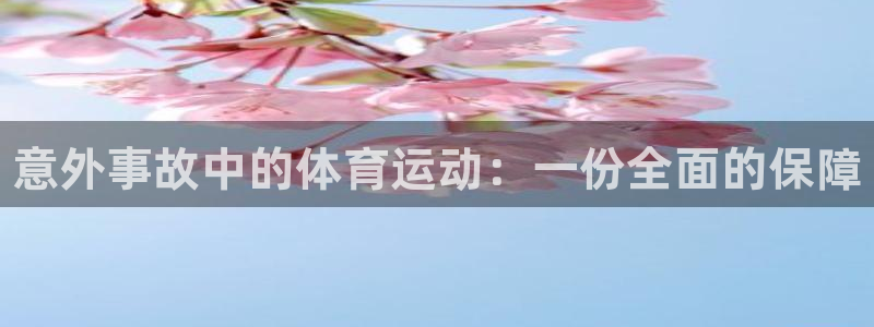 必发官方集团官网：意外事故中的体育运动：一份全面的保障