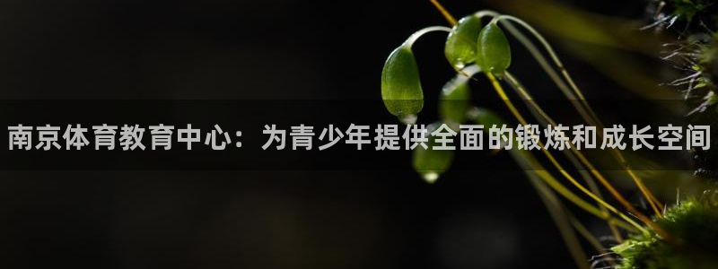 必发官方正版app开户：南京体育教育中心：为青少年提供全面的