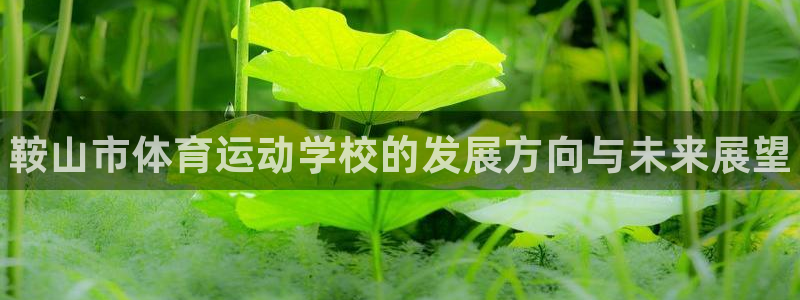 必发官网下载招商电话是多少啊：鞍山市体育运动学校的发展方向与