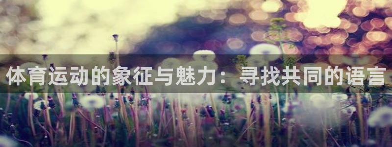 必发官网下载平台注册要钱吗安全吗：体育运动的象征与魅力：寻找