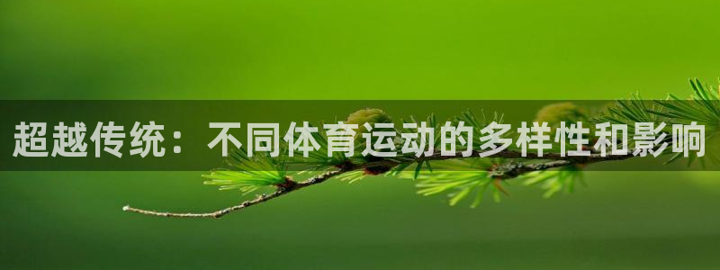 必发官方正版app娱乐下载：超越传统：不同体育运动的
