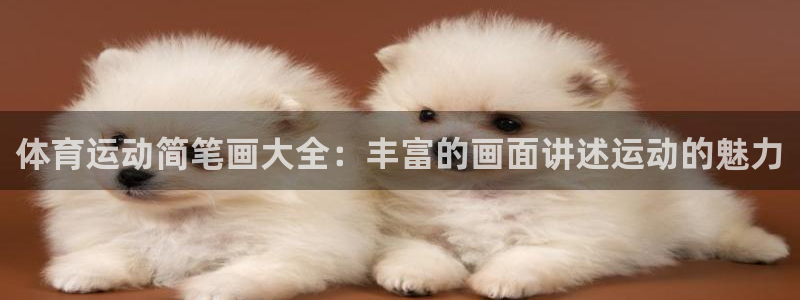 必发官网下载注册：体育运动简笔画大全：丰富的画面讲述