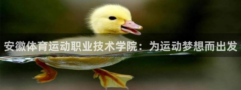 必发官网下载平台假的吗是真的吗：安徽体育运动职业技术