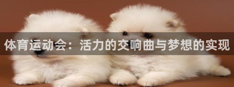 必发官网下载招商电话号码是多少号：体育运动会：活力的