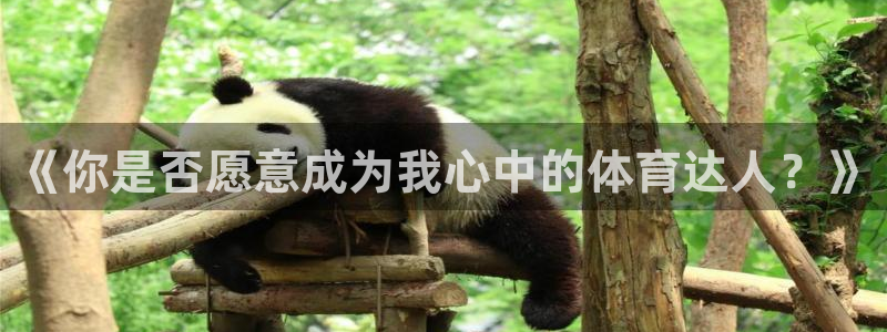 必发官方正版app娱乐40996：《你是否愿意成为我