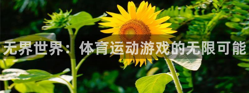 必发官网下载开户：无界世界：体育运动游戏的无限可能