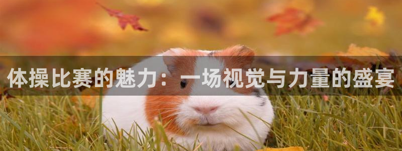 必发官网下载招商电话号码查询：体操比赛的魅力：一场视觉与力量