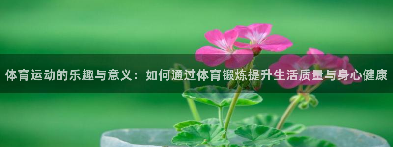 必发官方正版app娱乐