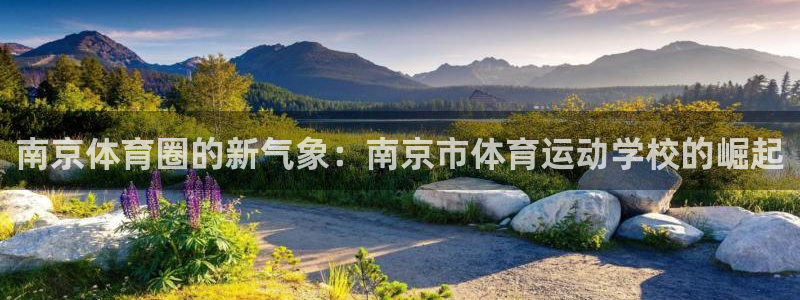 必发官网下载平台注册要钱吗安全吗：南京体育圈的新气象