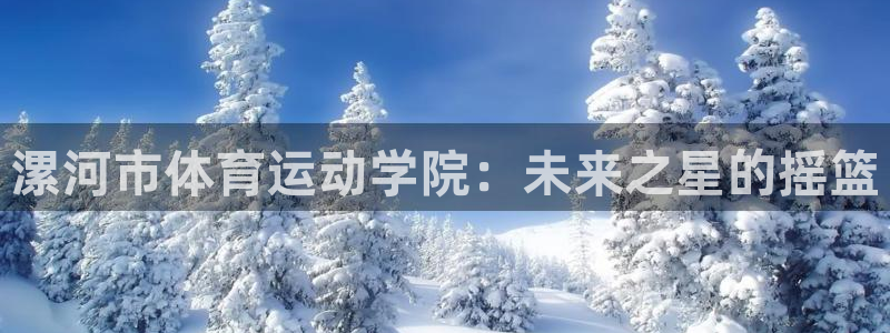 必发官网下载是干嘛的公司