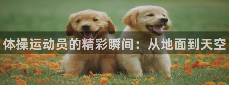 必发官方正版app官网：体操运动员的精彩瞬间：从地面到天空