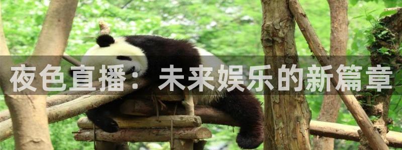 松鼠直播体育免费