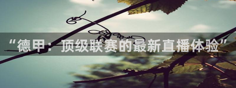 松鼠体育