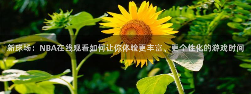 松鼠直播体育免费：新球场：NBA在线观看如何让你体验更丰富、更个性化的游戏时间
