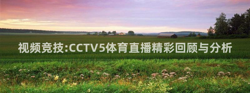 松鼠直播tv：视频竞技:CCTV5体育直播精彩回顾与分析