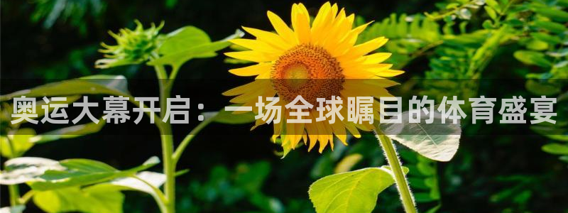 松鼠体育下载：奥运大幕开启：一场全球瞩目的体育盛宴