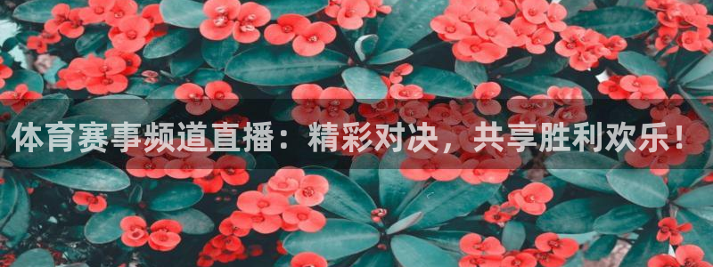 松鼠体育下载：体育赛事频道直播：精彩对决，共享胜利欢乐！